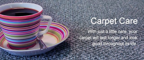 carpet care